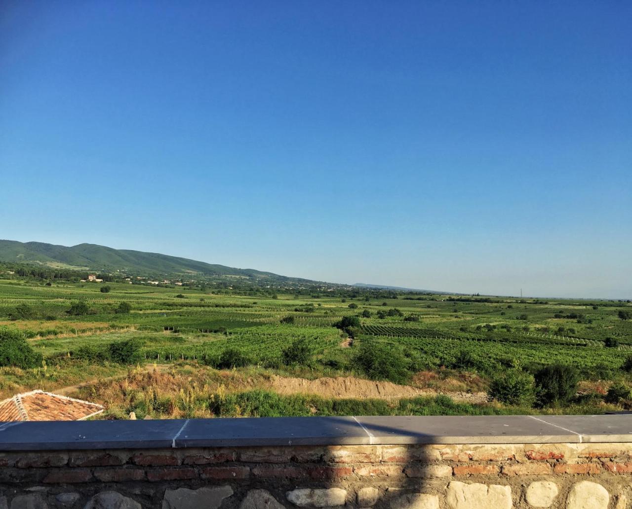 Elizbar Talakvadze Winery Villa Kardanakhi Dış mekan fotoğraf